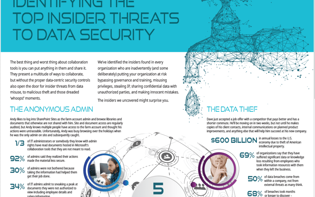 Identifying The Top Insider Threats to Data Security: The Anonymous Admin